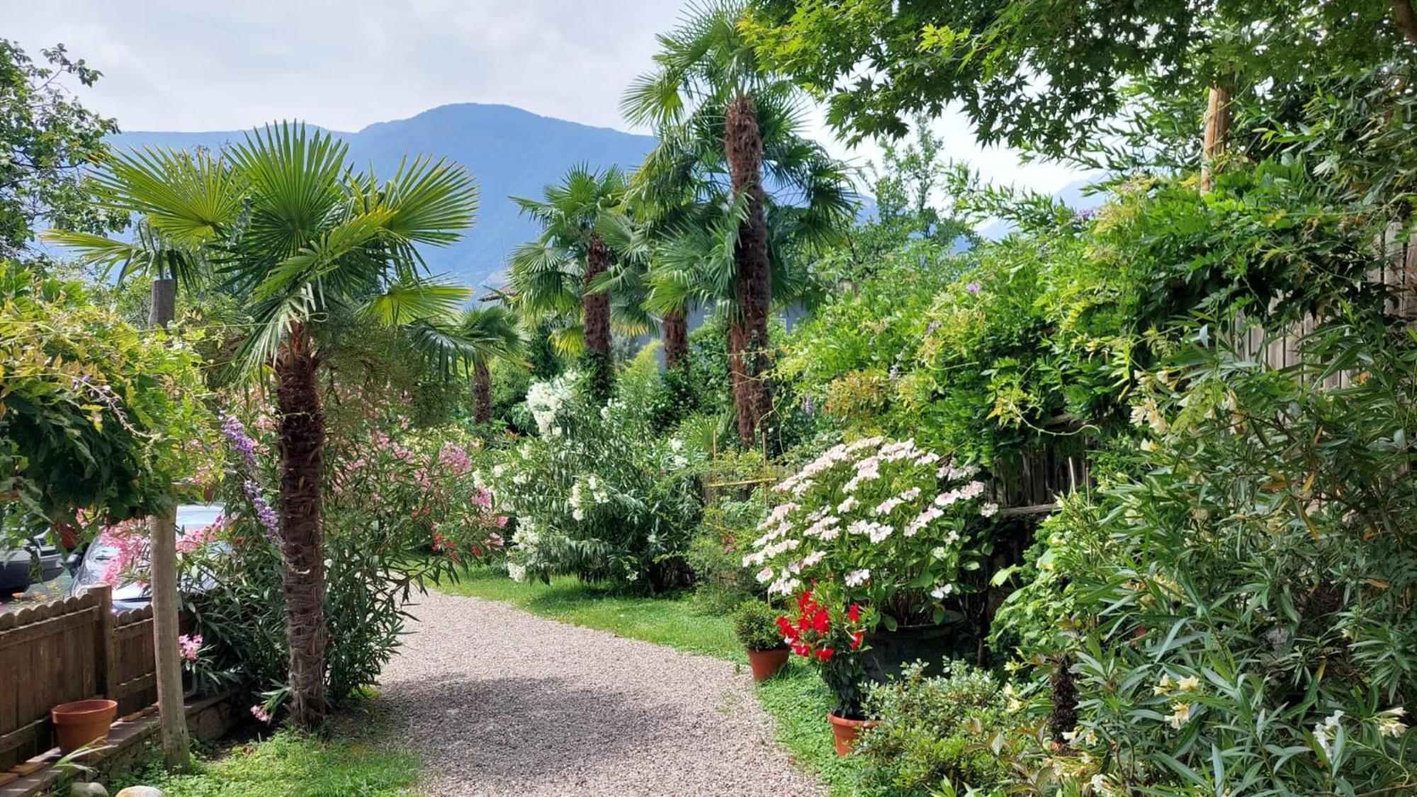 Nora S Home 2 - Panoramic Terrace & Bio Garden Merano Dış mekan fotoğraf